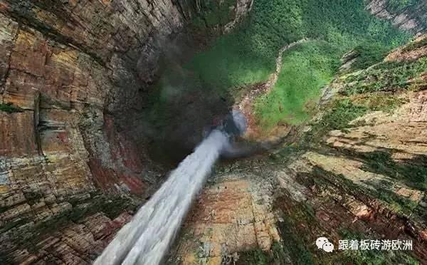 逃离森林湖畔