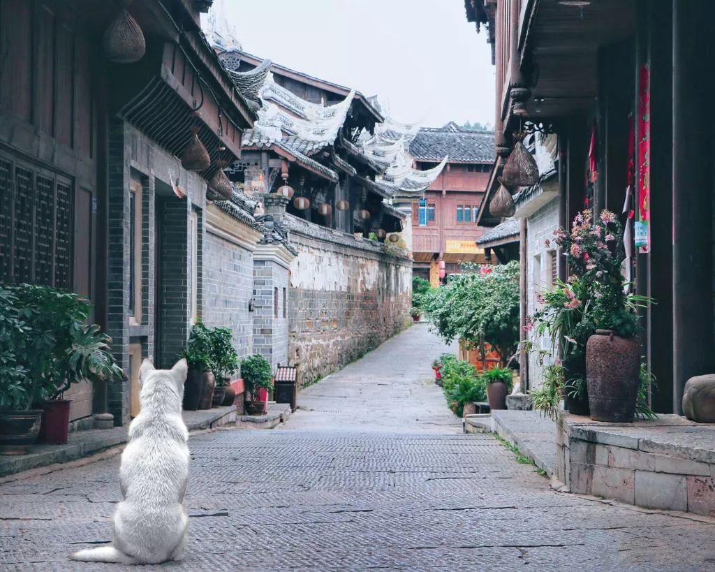 精确计时的重要性+事例游戏画面